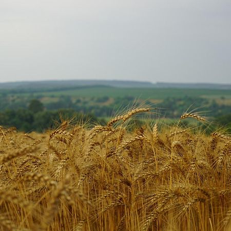 Willa Ferienhaus Plattensee/Balaton Szolad Zewnętrze zdjęcie